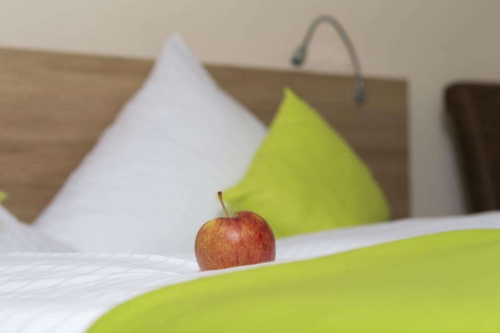 Hotel Gasthof Sonne Fridingen an der Donau エクステリア 写真