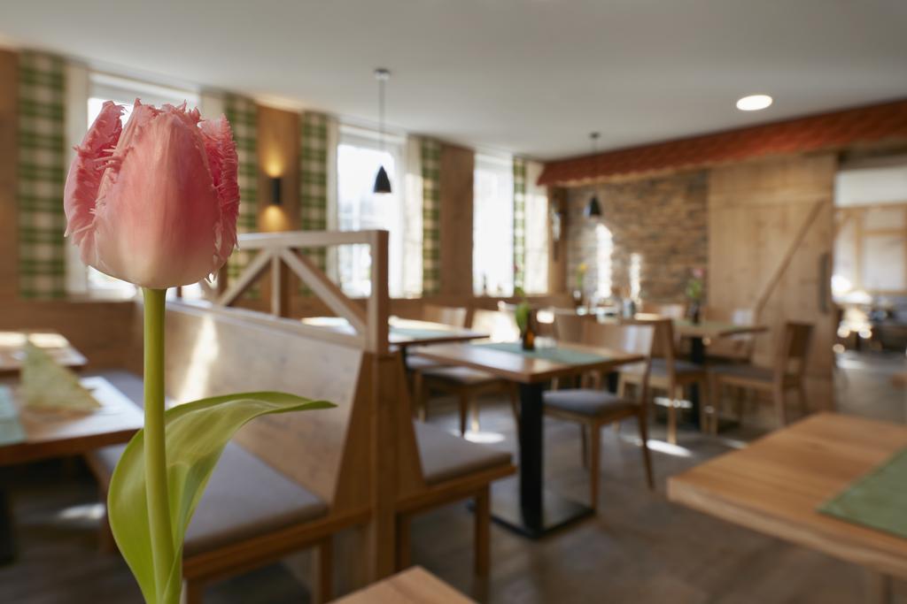 Hotel Gasthof Sonne Fridingen an der Donau エクステリア 写真
