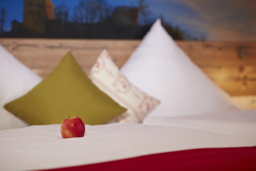 Hotel Gasthof Sonne Fridingen an der Donau エクステリア 写真